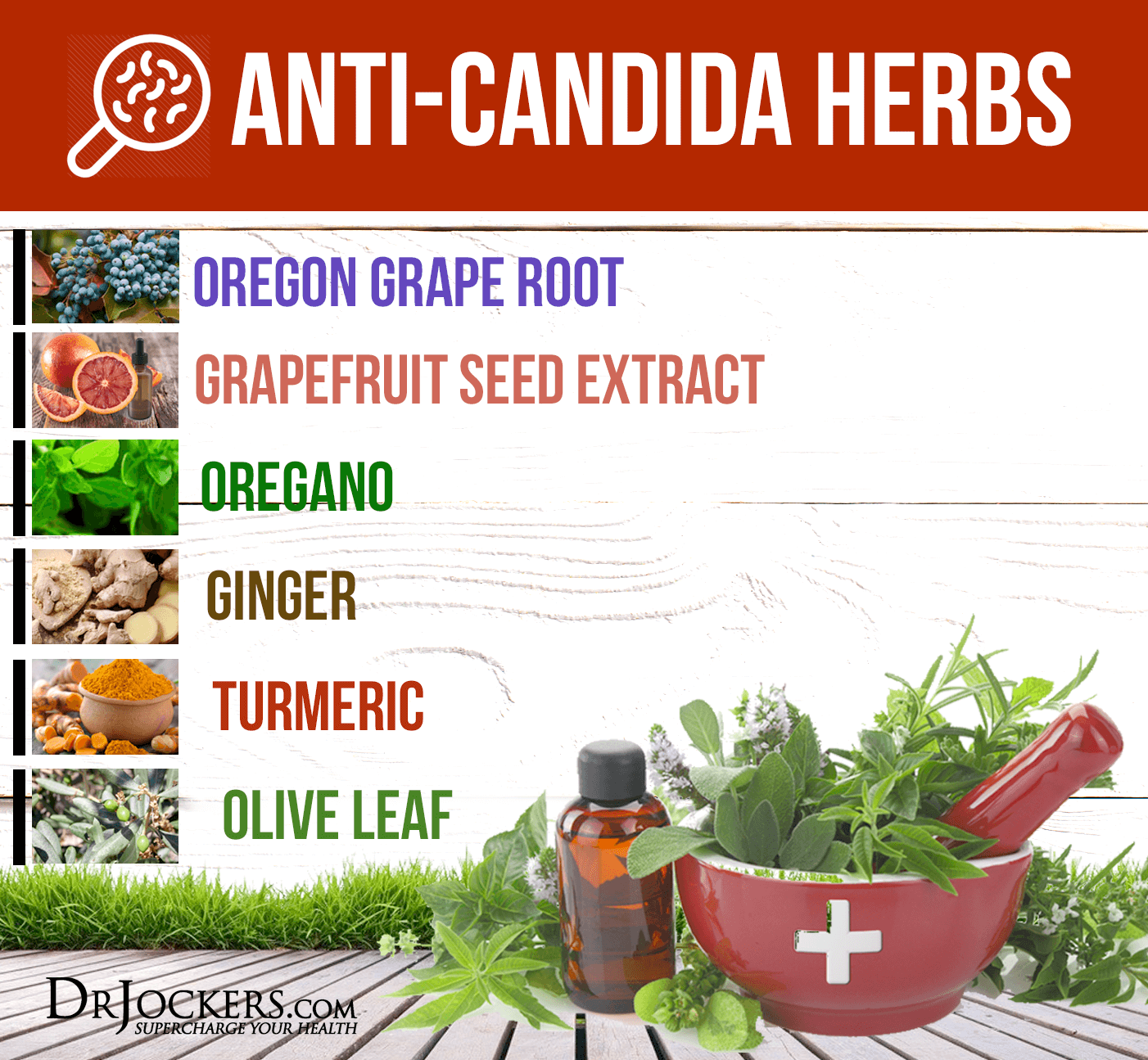 candida albicans, Candida Albicans: Top 10 Herbs and Supplements to Beat it