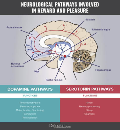 Addiction: Causes and Natural Treatments - DrJockers.com