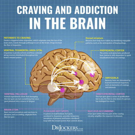 Addiction: Causes and Natural Treatments - DrJockers.com