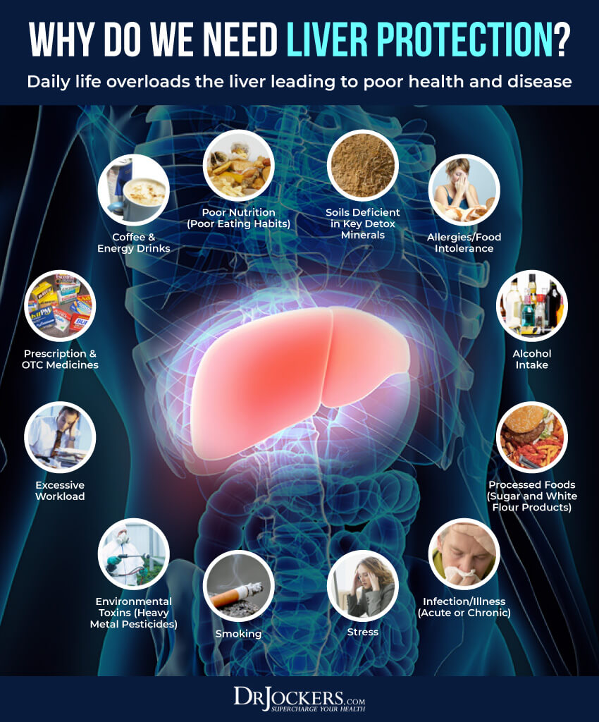 fatty liver, Fatty Liver: Symptoms, Causes and Natural Support Strategies