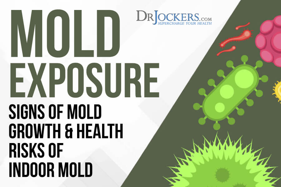 mold exposure