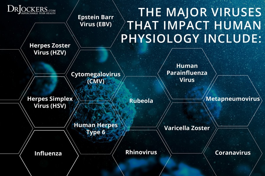 , Comprehensive Viral Panel Test