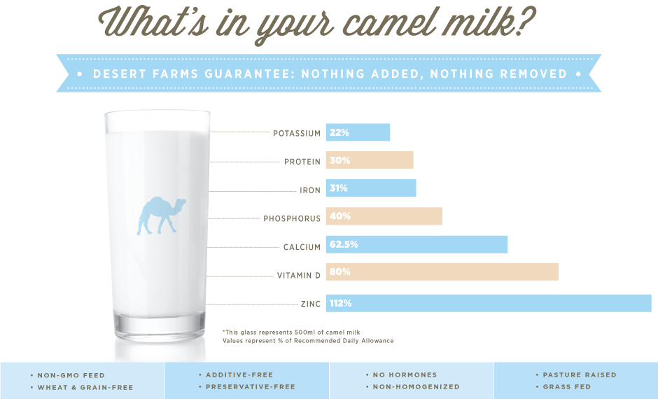 camel milk, Camel Milk: 8 Benefits &#038; Reasons to Give it a Try