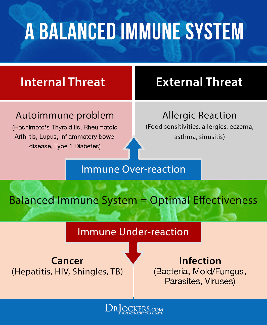 Immune support, Top 12 Immune Support Strategies to Thrive in Life