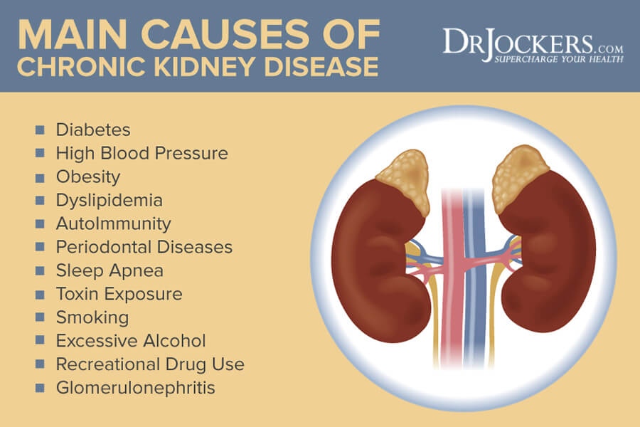 healthy kidneys