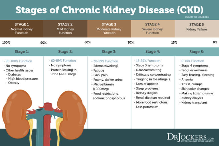 Healthy Kidneys: Best Foods and Natural Remedies - DrJockers.com