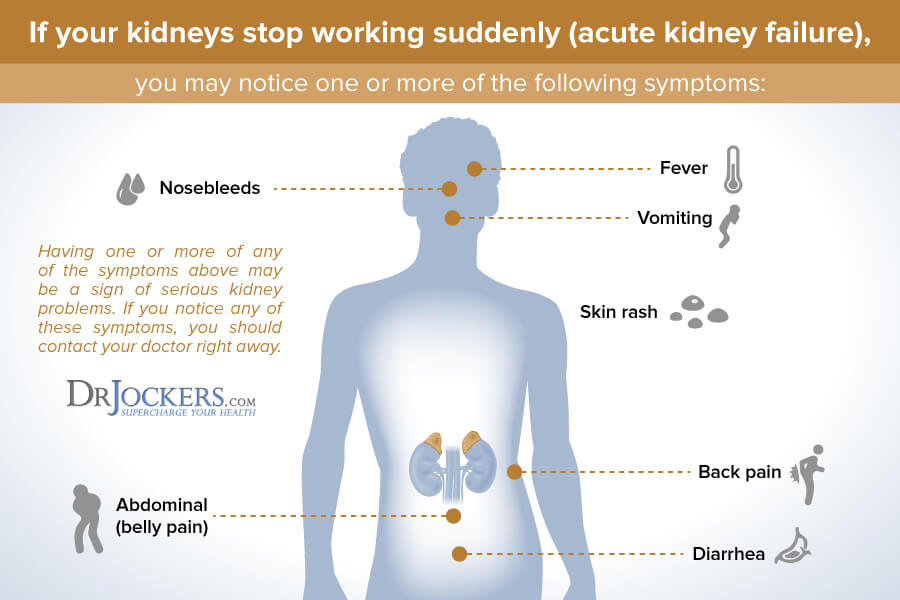 kidneys, Healthy Kidneys: Best Foods and Natural Remedies