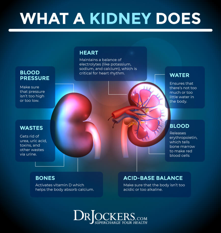 kidneys, Healthy Kidneys: Best Foods and Natural Remedies