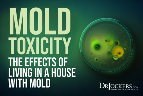 Mold Toxicity: The Effects of Living in A House with Mold