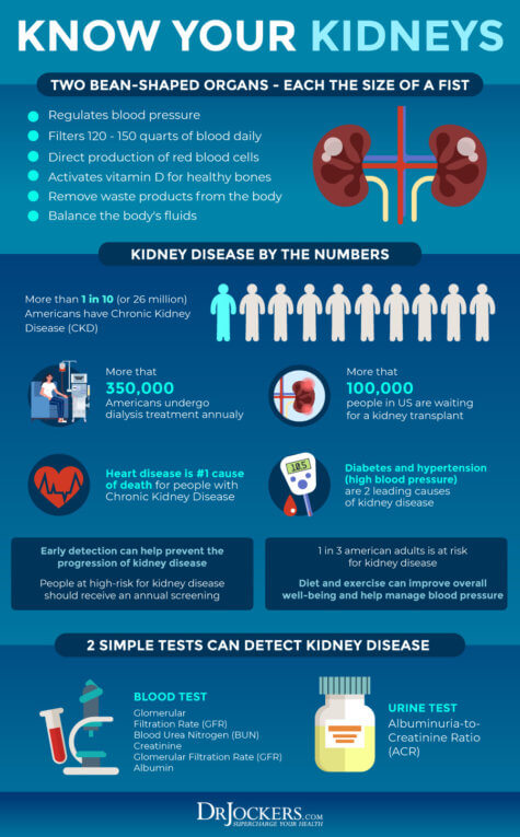 Healthy Kidneys: Best Foods and Natural Remedies - DrJockers.com