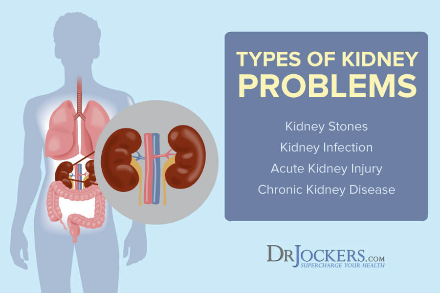 healthy kidneys