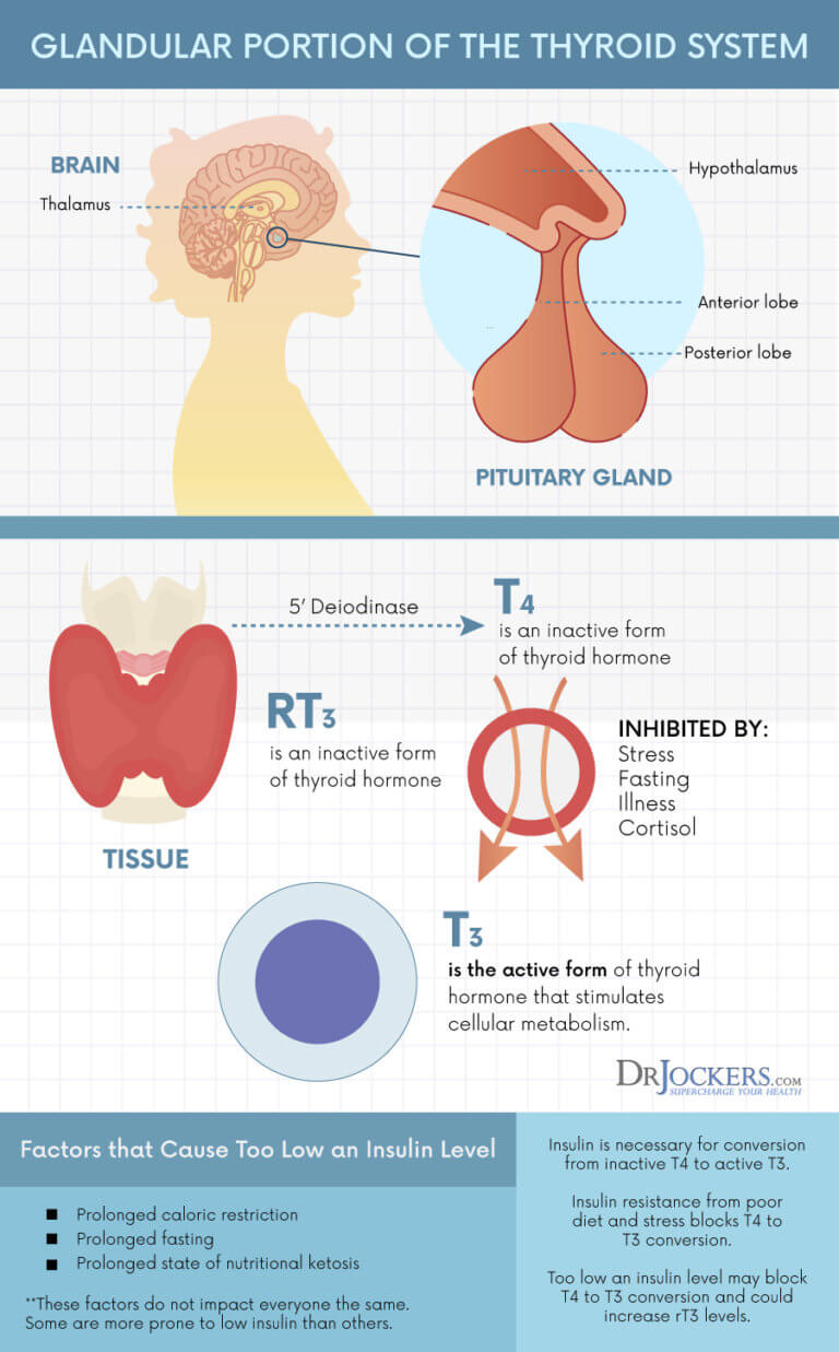 Using A Ketogenic Diet For Hypothyroid 