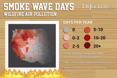 Smoke Exposure: Protection From Wildfire Smoke - DrJockers.com