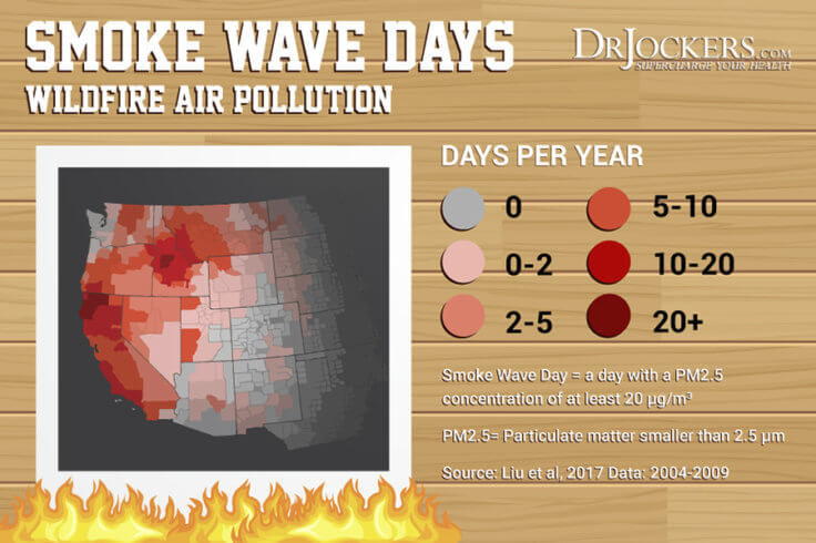 Smoke Exposure Protection From Wildfire Smoke 7333