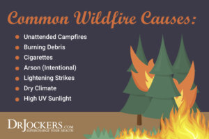 Smoke Exposure: Protection from Wildfire Smoke - DrJockers.com