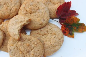 cinnamon cookies, Keto Vanilla Cinnamon Cookies