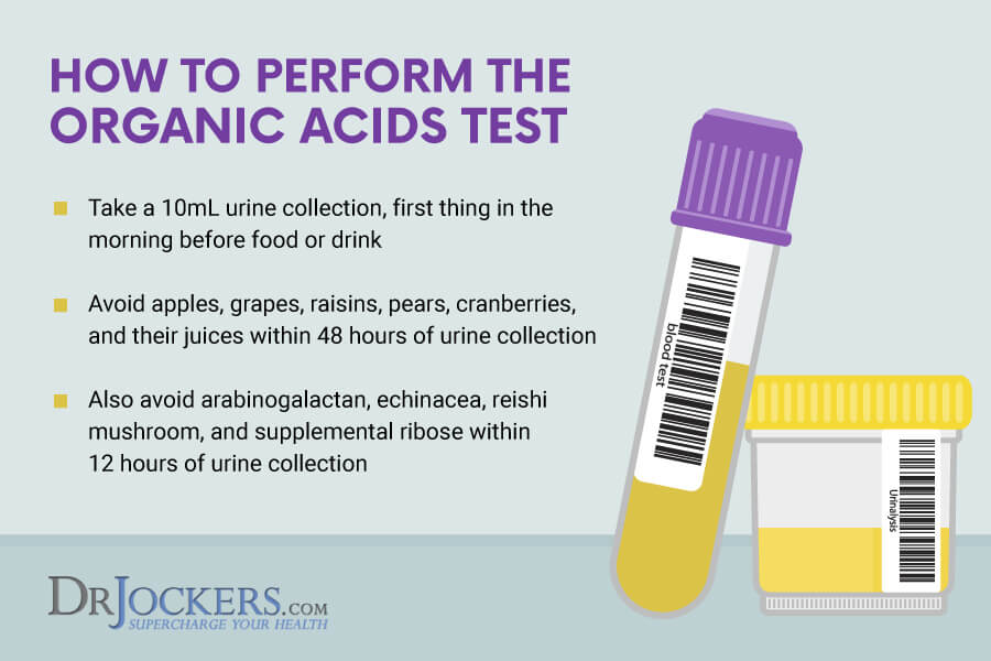 organic acids, Organic Acids Test: Analyzing this Functional Health Test