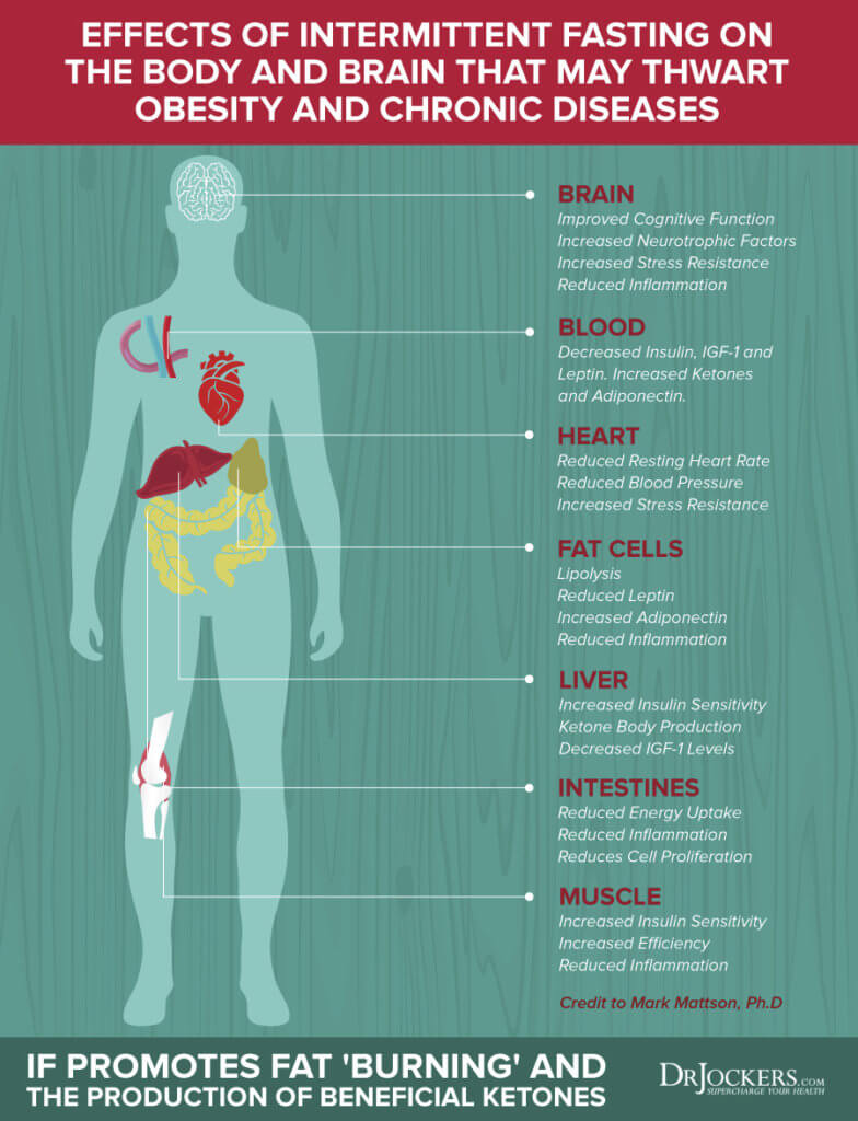 8 Ways Intermittent Fasting Improves Heart Health - DrJockers.com