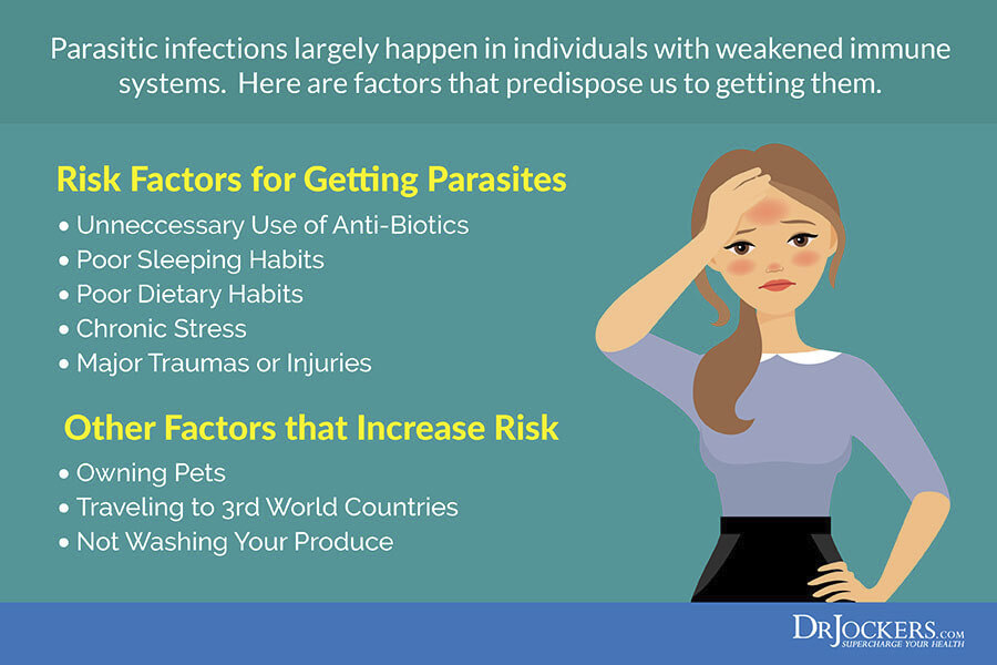 Parasite infections, Parasite Infections: Functional Lab Analysis To Identify Parasites