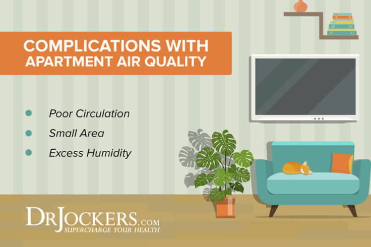 View of Apartment Air Quality: 3 Ways to Improve It - DrJockers.com