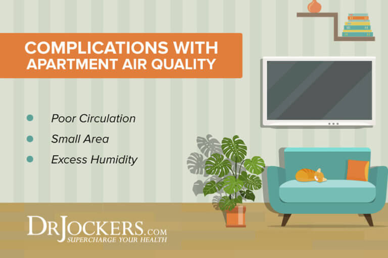 Apartment Air Quality 3 Ways to Improve It