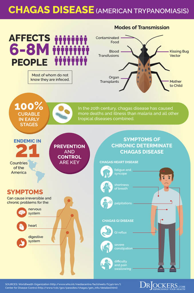Mimosa Pudica The Most Powerful Herb for Parasites?