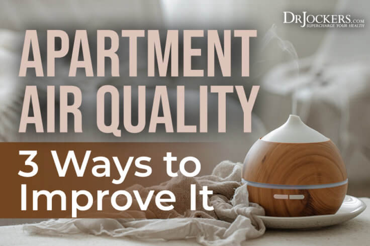 Image showcasing Apartment Air Quality: 3 Ways to Improve It - DrJockers.com