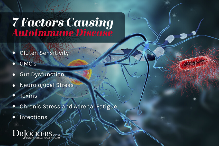 autoimmune conditions, The 7 Major Factors Causing AutoImmune Conditions