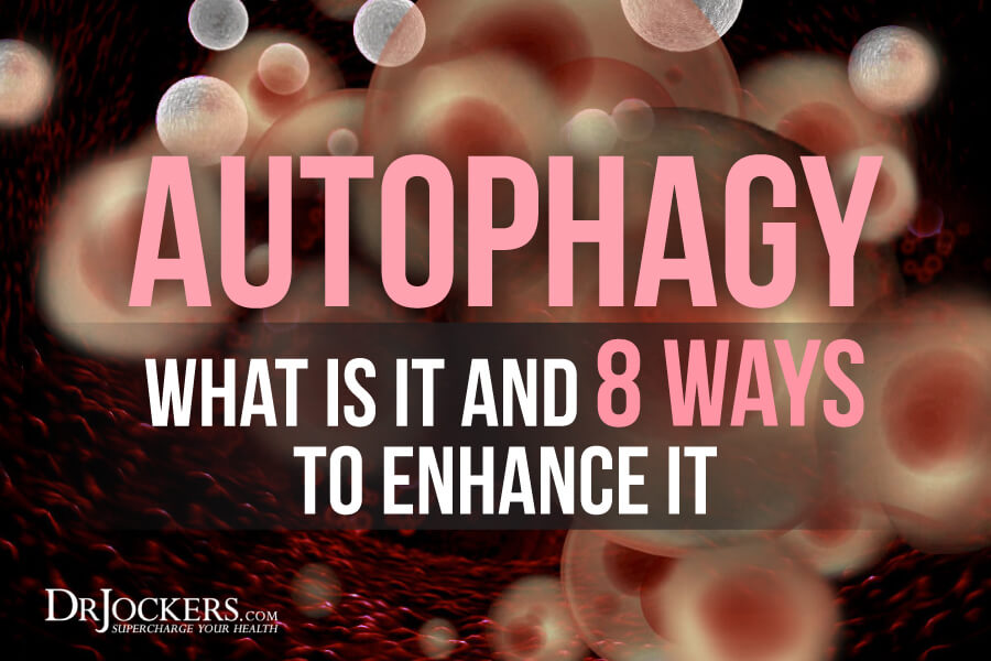 autophagy