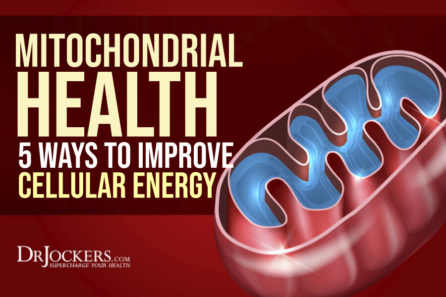 mitochondrial health