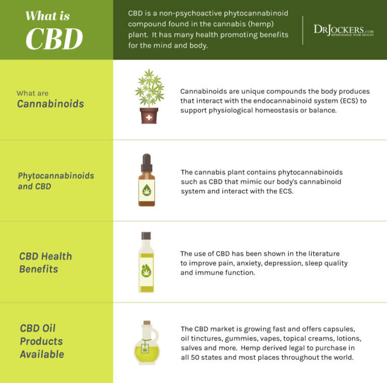Cbd Oil Top 7 Benefits And How To Use It Drjockers