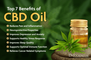 CBD Oil: Top 7 Benefits And How To Use It - DrJockers.com