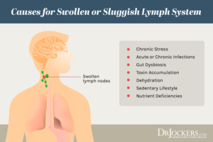 Lymphatic Cleansing: 8 Ways to Clear Lymph Congestion - DrJockers.com