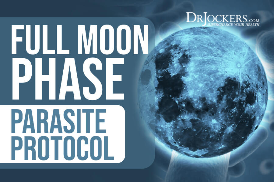 full moon, Full Moon Phase Parasite Protocol