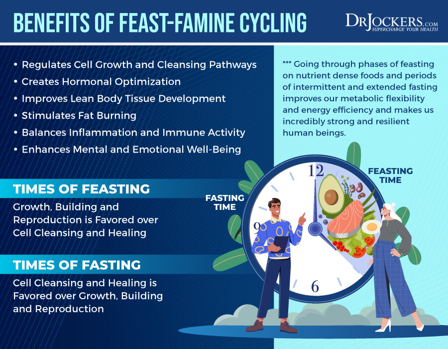 feast famine, Feast Famine Cycling: Autophagy, Cleansing and Muscle Growth
