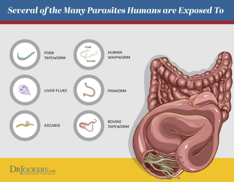 Full Moon Phase Parasite Protocol