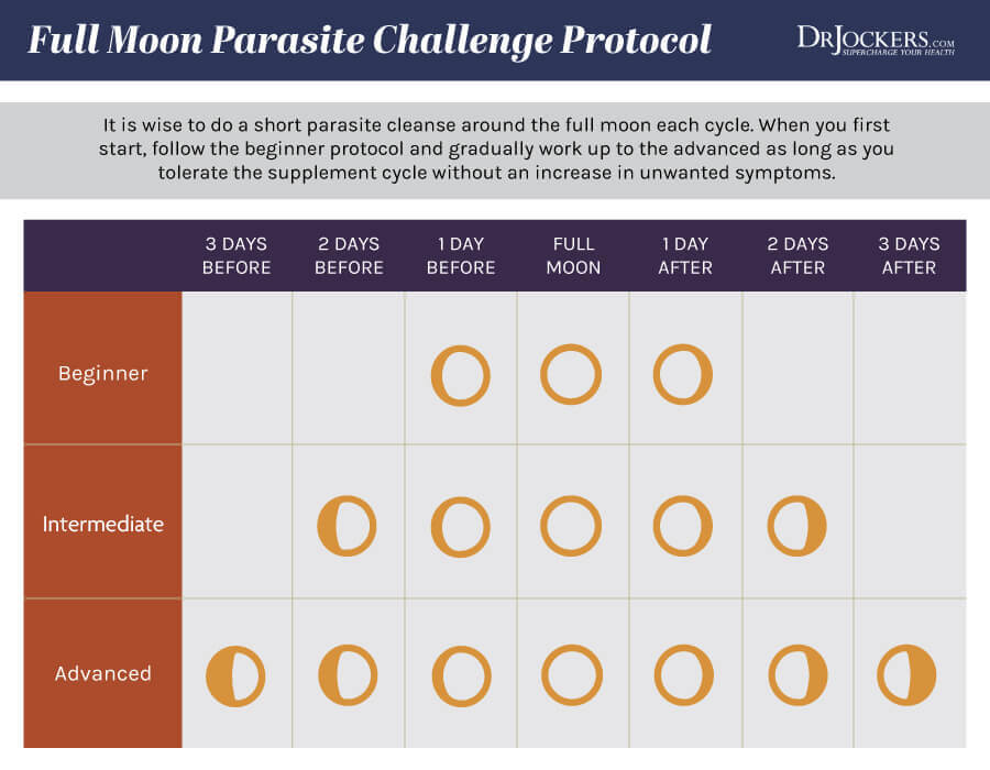 full moon, Full Moon Phase Parasite Protocol