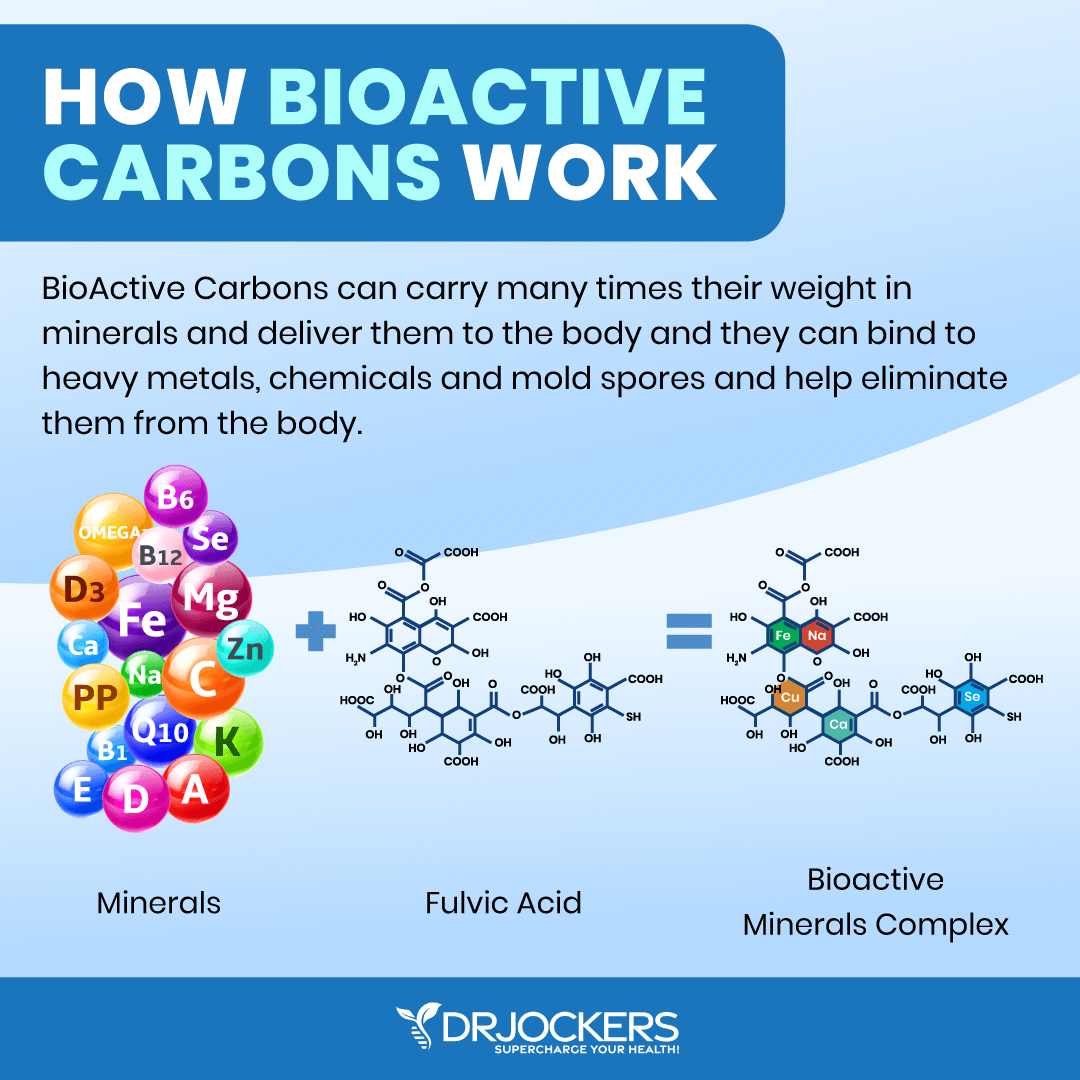 bioactive carbons