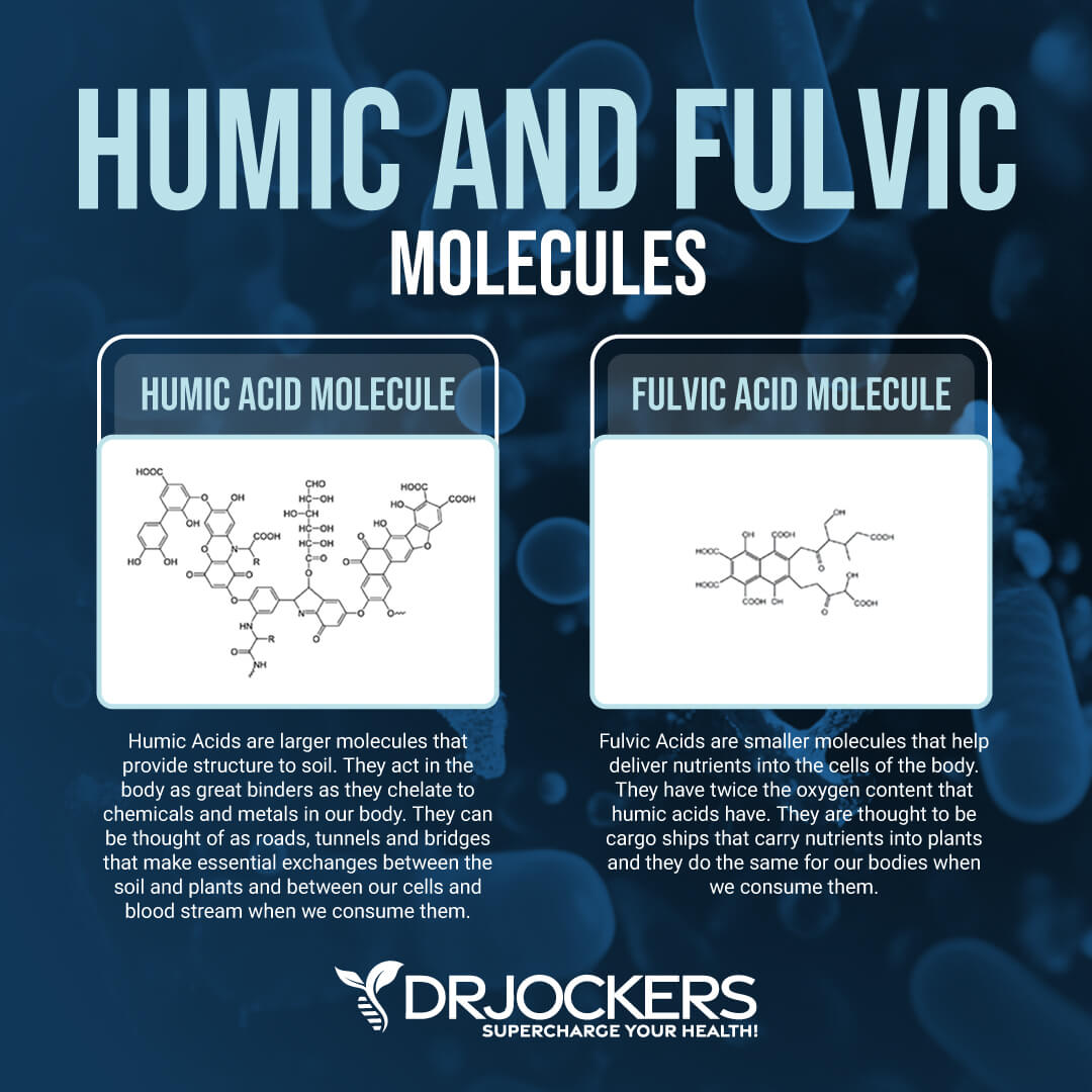 bioactive carbons