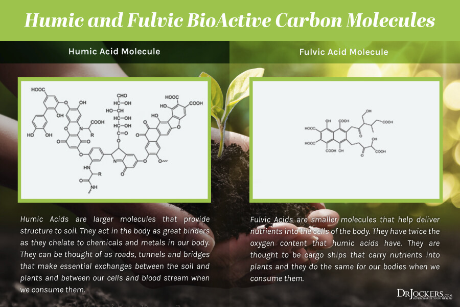 BioActive Carbons