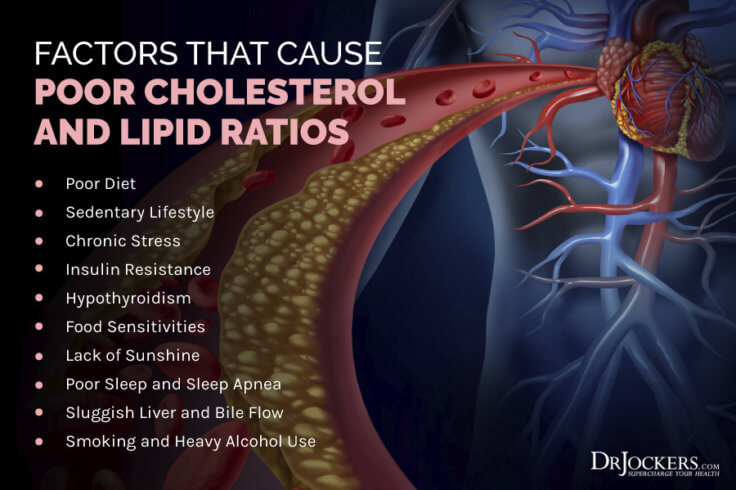 Cholesterol: What is It and What are Healthy Levels? - DrJockers.com