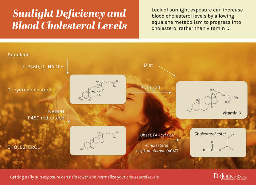 cholesterol, Cholesterol: What is It and What are Healthy Levels?