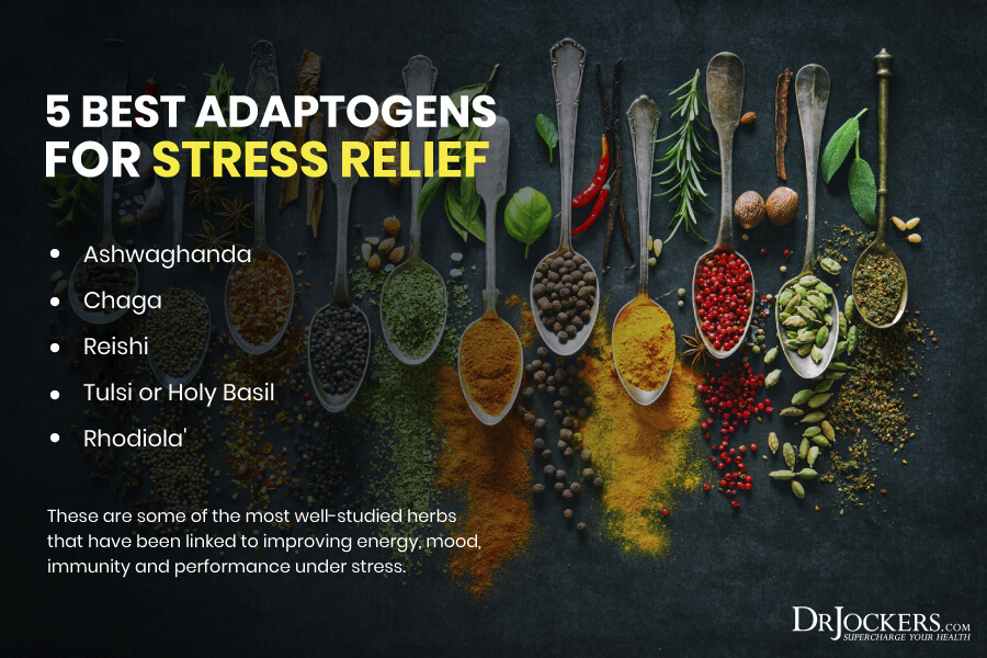 adaptogens, Top 5 Adaptogens for Stress Reduction