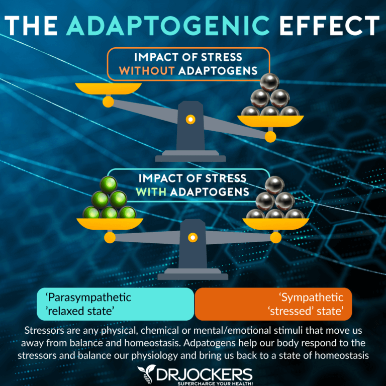 Top 5 Adaptogens For Stress Reduction