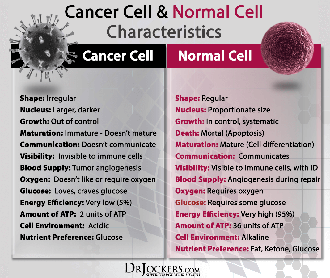 cancer cells, The Difference Between Normal and Cancer Cells
