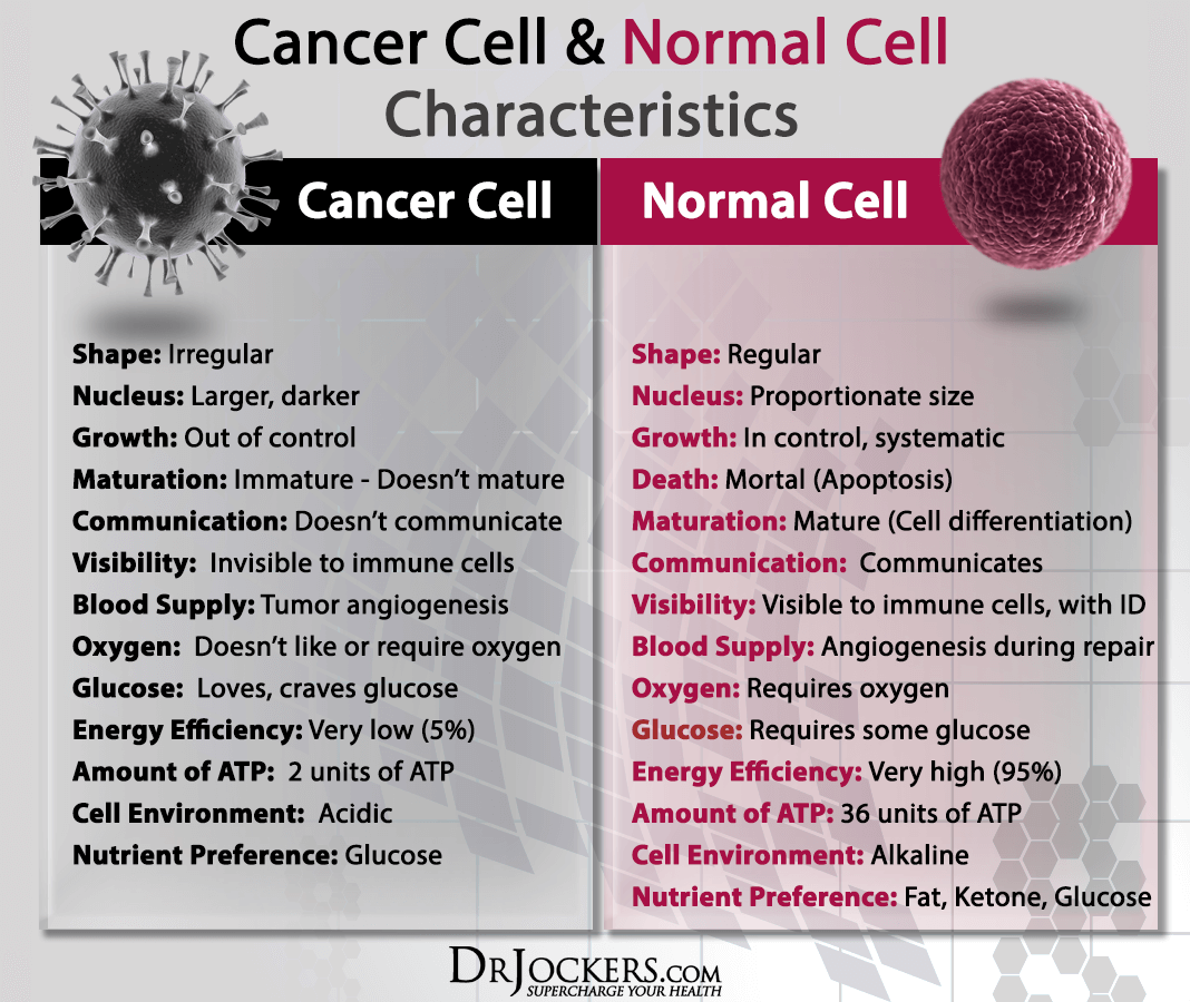 The Difference Between Normal And Cancer Cells 9781