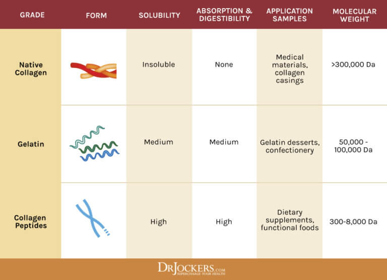 Gelatin vs Collagen What is the Difference?