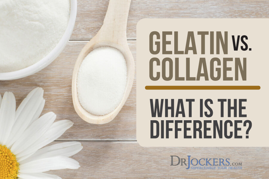 gelatin, Gelatin vs Collagen:  What is the Difference?