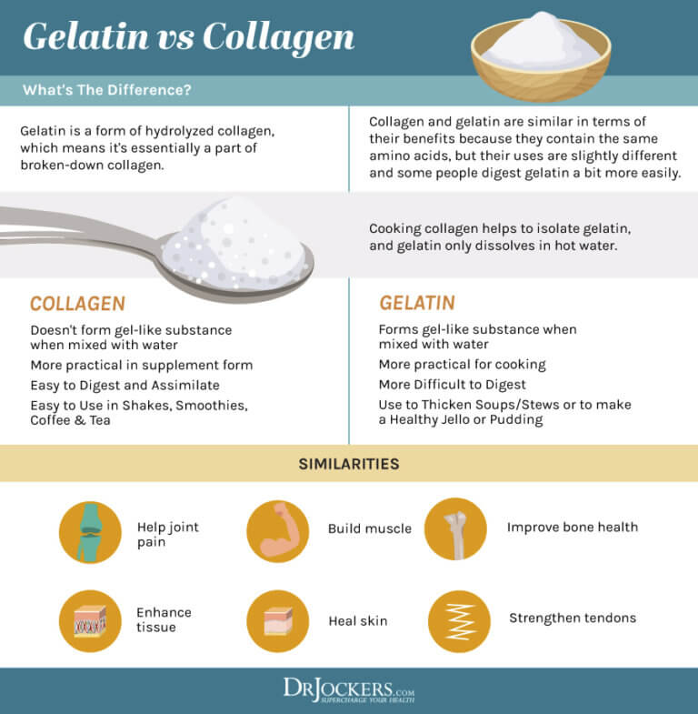 Gelatin vs Collagen What is the Difference?