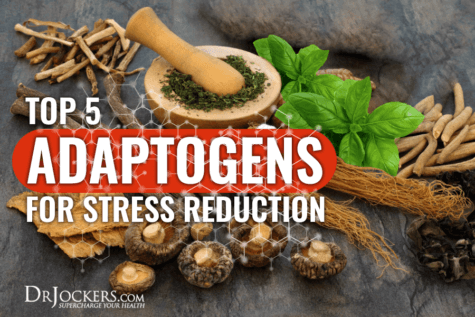 Top 5 Adaptogens For Stress Reduction - DrJockers.com